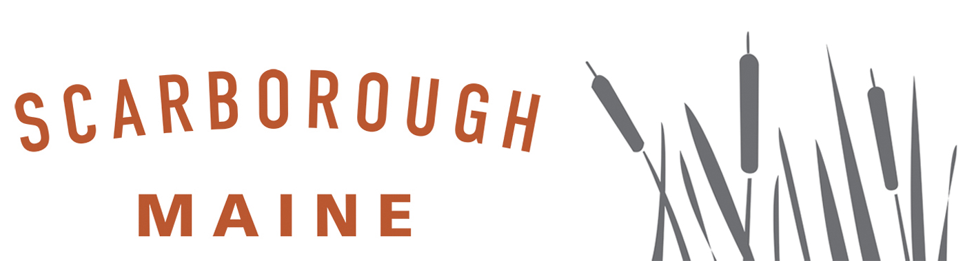 Banner logo with link to homepage